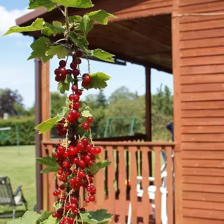 Zbyszko 1 Casa vacanze Slajszewo